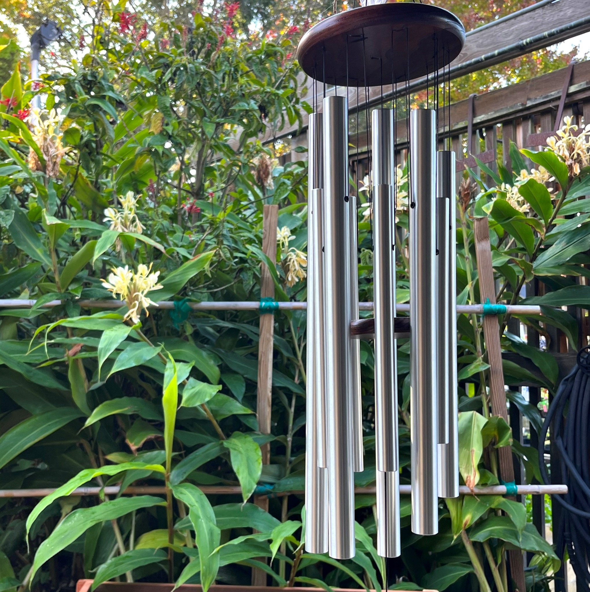 🎐 Weekend Special🎐 Wind chimes are 25% off when you shop with us this holiday weekend, Fri 11/28 through Sun 11/30. These gentle, melodic instruments are a valuable addition to homes and gardens, and we have them available in sizes large and small. Whether you're seeking a sense of peace, a stylish outdoor addition, or a meaningful gift, wind chimes offer something special for everyone.
#berkeleyhorticulturalnursery #berkeleyhort #bayareaplantshop #berkeleyplantsale #weekendspecial #bayareaplantnursery #bayareaplants #bayareaplantpeople #berkeleygardens #berkeleyhorticultural #bayareagardens #bayareaplantsale #plantlife #woodstockchimes #woodstockwindchimes