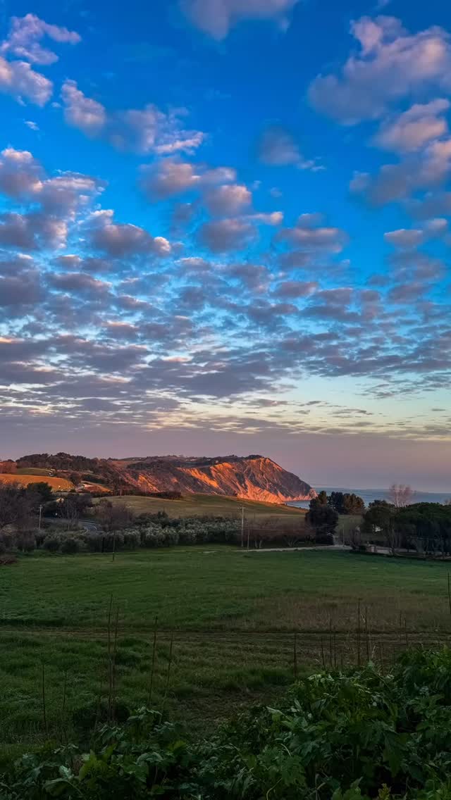 Dalla nostra collina preferita una stupenda alba stamattina
#agriconero #agriturismomarche #agriturismoconero ##lovelyancona #anconatourism #ancona #portonovo