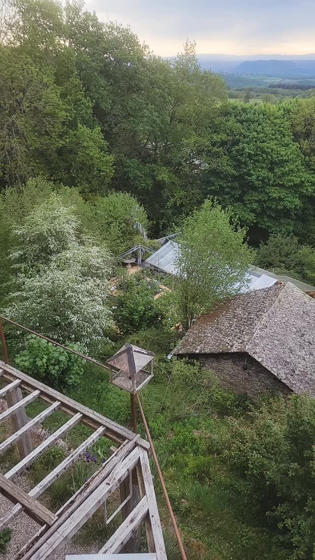 Douceur printanière 🐦🌱🌸