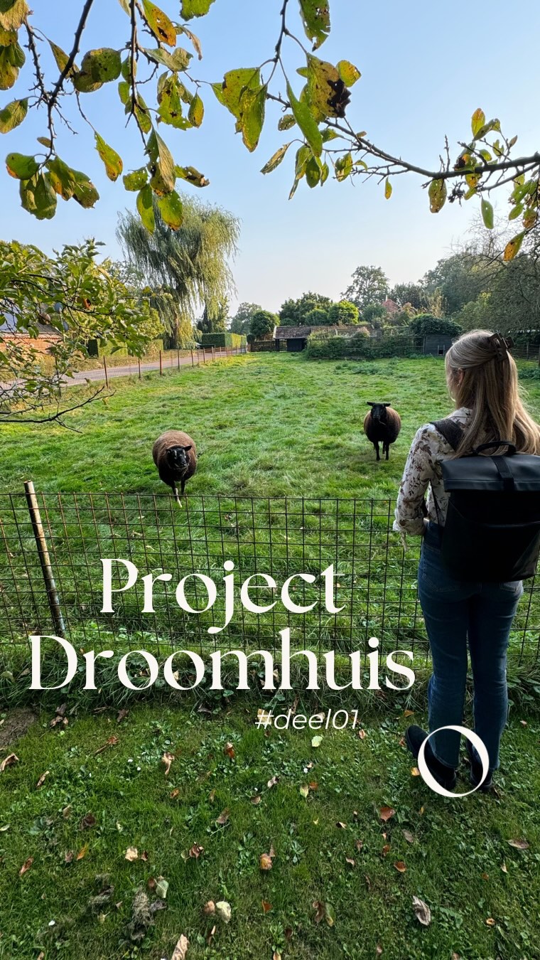1,5 week geleden kregen we de sleutel van ons droomhuis🔑. We kunnen het beide nog steeds niet geloven. We gaan de stad binnenkort verlaten voor een leven in het groen🌱
Er moet heel veel gebeuren om er echt ons eigen plekje van te maken. Over 2,5 week gaan we verhuizen naar onze tijdelijke woning dichtbij ons nieuwe huis.
De verbouwing is gestart🪚🛠️
#droomhuis #vandestadnaarhetplatteland #renovation #verbouwen #moestuin #vrijheid #nature