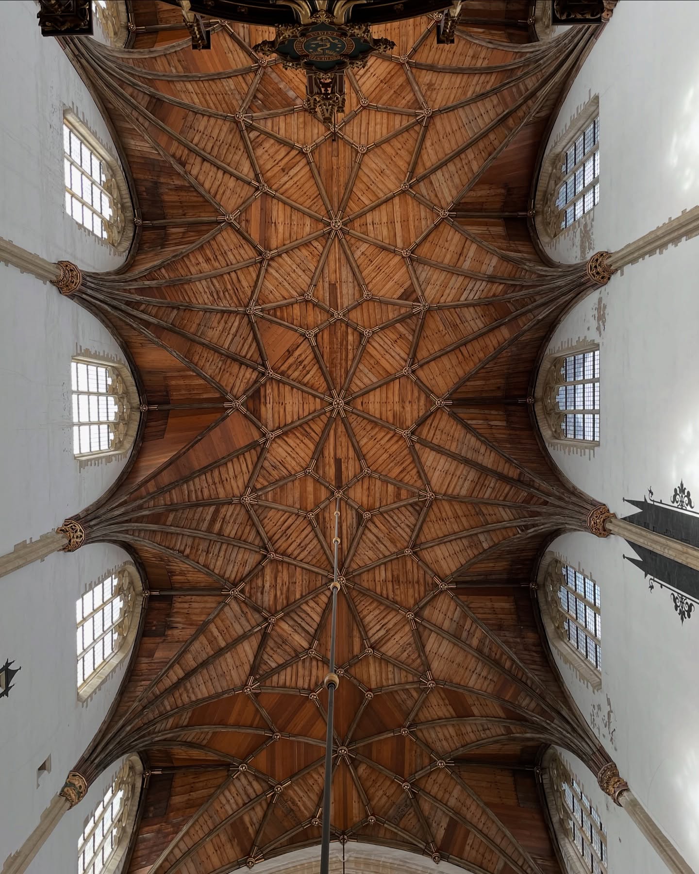 Église Saint-Bavon à Haarlem ⛪️
Plantée au milieu de la ville sur la place du Grote Markt, l’église est en tout point remarquable : un volume impressionnant, un orgue imposant, une voûte en bois ouvragée…
À chaque fois que j’y rentre, j’y passe littéralement des heures ! 🤩
#haarlem #paysbas #eglise #sintbavokerk