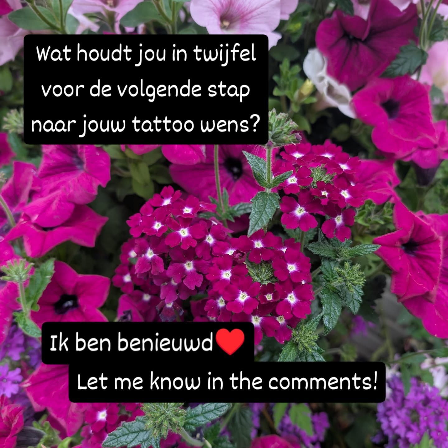 Heb je een tattoo wens en zit je nog in twijfel?
Ik ben benieuwd naar je reden!Laat het mij weten in de comments en wie weet kan ik je helpen om een volgende stap te kunnen zetten richting jouw tatoeage!♥️#tattoolife #tattooexperience #tattootips #tattooartist #connection #creative #selflove #spiritualjourney #love #lovetattoo #nature #tattooinspiration