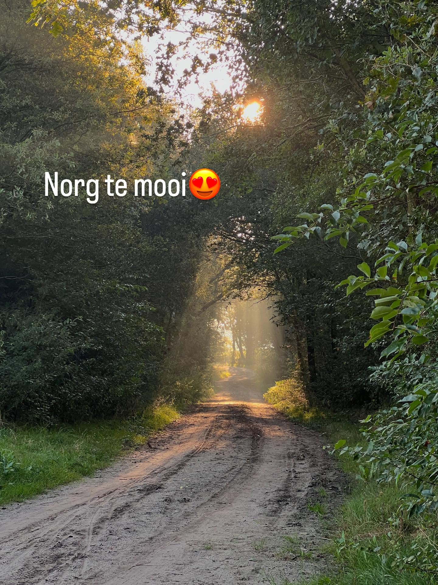 Wat is er nou heerlijker dan te overnachten in een boshuis in Norg, en om dan uitgeslapen wakker te worden om buiten te gaan ontbijten. Om daarna aan de slag te gaan met al je creativiteit klieder kla…
