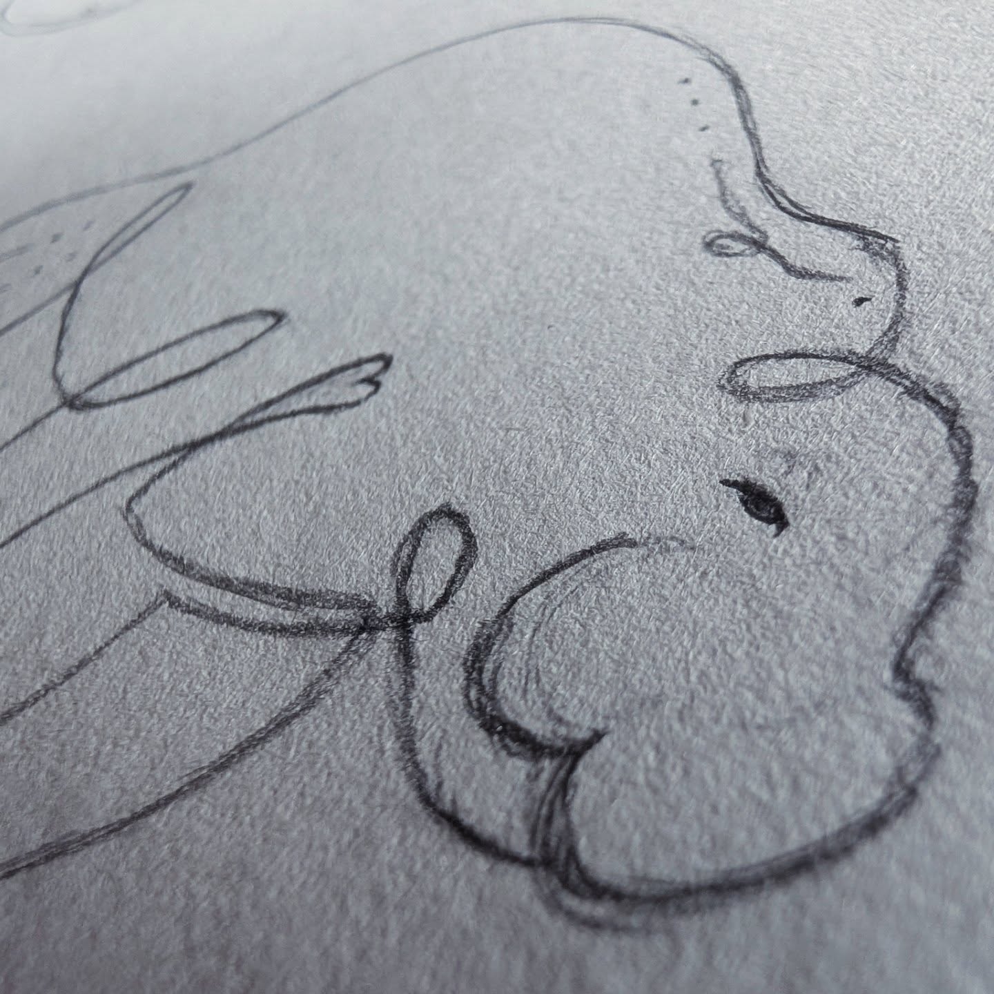 Tattoo schetsen sneak peaks♥️Een manatee (zeekoe) voor een bijzondere dame met een mooie diepgaande persoonlijke reden🙏♥️Ik voel me vereerd om dit voor jou te mogen doen, thank you so much for your trust!🙏♥️Is er een dier die voor jou een bijzondere waarde draagt? Let me know in the comments!🙏♥️🐨#tattoometverhaal #scartattoo #manatee #selflovetattoo #linetattoo #tattoodesign #tattooinspiration #stickandpokenl #sacreddoodletattoo #femaletattooartist