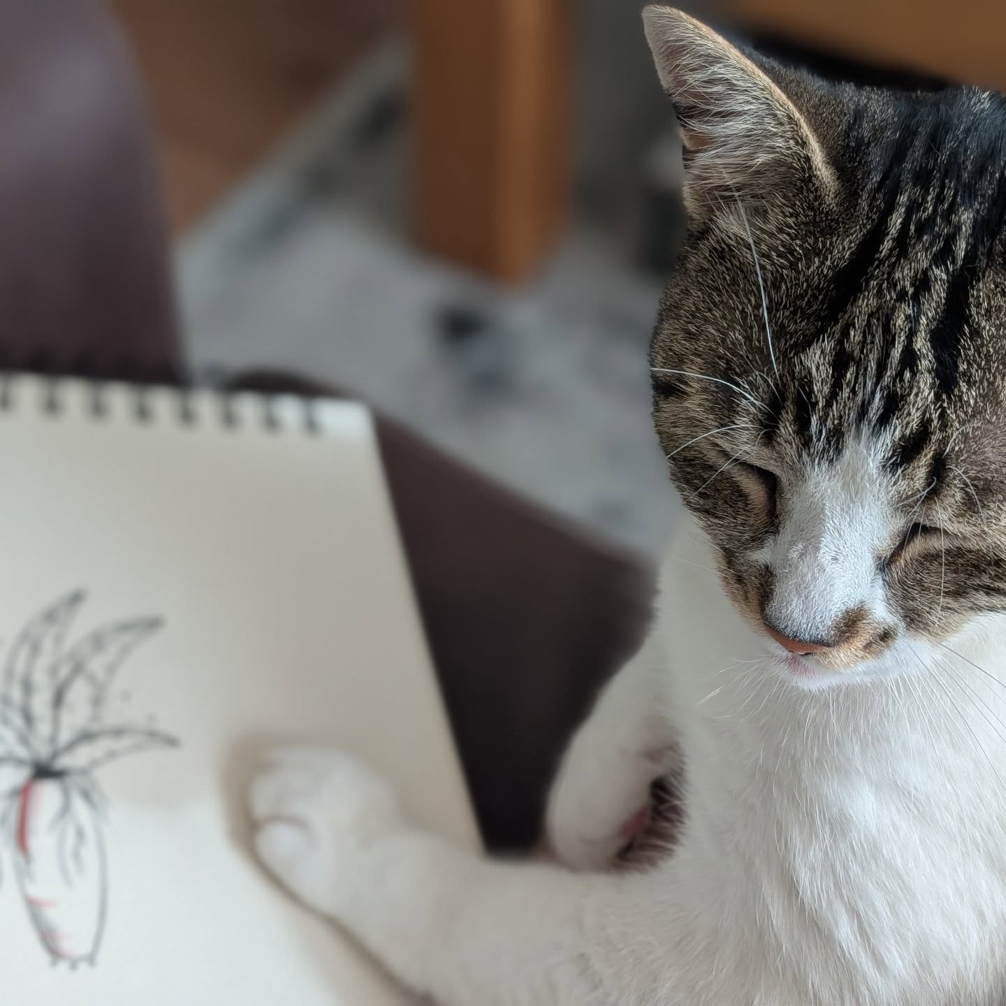 My lovely assistent today!♥️ Ik denk dat ze mijn ontwerp goedkeurd hihi 🥰Met zoveel lieve diertjes die mij assisteren prijs ik mijzelf toch echt gelukkig. Heel bijzonder om deze creatieve momenten ook met dierenzieltjes te mogen delen♥️
En daardoor wordt er ook wat extra liefde in mijn tattoo ontwerpen gestoken!De ontwerpen zijn wannado tattoos die ik binnenkort met jullie ga delen.🙏 Hou een oogje open voor deze door Luna😺 goedgekeurde ontwerpen!Did you look at this cutie?!😻#tattoolife #tattoocat #lovecats😻 #tattooontwerp #tekenen✏️ #handdrawnart #handdrawntattoo #stickandpokenl #finelinetattoo #planttattoo #animalassistant #love #tattoosmeteenverhaal #blackandredtattoodesign #blackandredtattoo