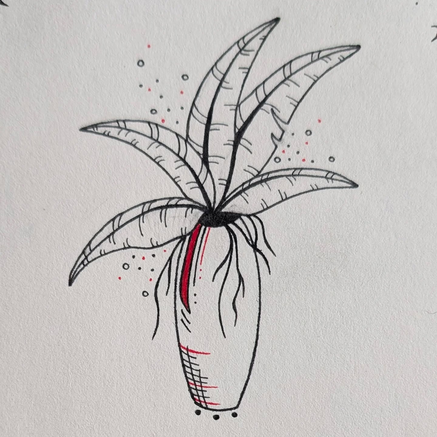 4 nieuwe wannado tattoo ontwerpen!♥️🍃Soms vergeten we dat we eigenlijk wat gecompliceerde kamerplanten zijn. Don't forget to breathe, drink water and take in some sun!🌞🍃♥️Planten dragen bij aan een fijn thuis gevoel, we komen immers van de natuur en nemen deze graag mee ons huis in. Nature makes us feel whole.♥️Vandaar mijn 4 nieuwe tattoo ontwerpen die graag een thuis zoeken bij iemand die erg blij wordt van planten!♥️Foto 5 is niet geschikt als tattoo ontwerp, teveel kleine details te dicht op elkaar, maar ik vind hem erg leuk dus ik wilde deze ook delen als bonus plantje🥰Welke plant en ontwerp spreekt jou aan?
Reserveer hem snel voor jezelf!♥️Bij interesse stuur een pm, eerst komt eerst maalt!🙏#tattoodesign #wannadotattoo #tattoosmeteenverhaal #sacreddoodletattoo #finelinetattoo #blackandredtattoodesign #blackandredtattoo #naturetattoo #planttattoo #kleinetattoos #stickandpokenl #handdrawntattoo #lovenature💚 #tattoolife #plantlife🌱