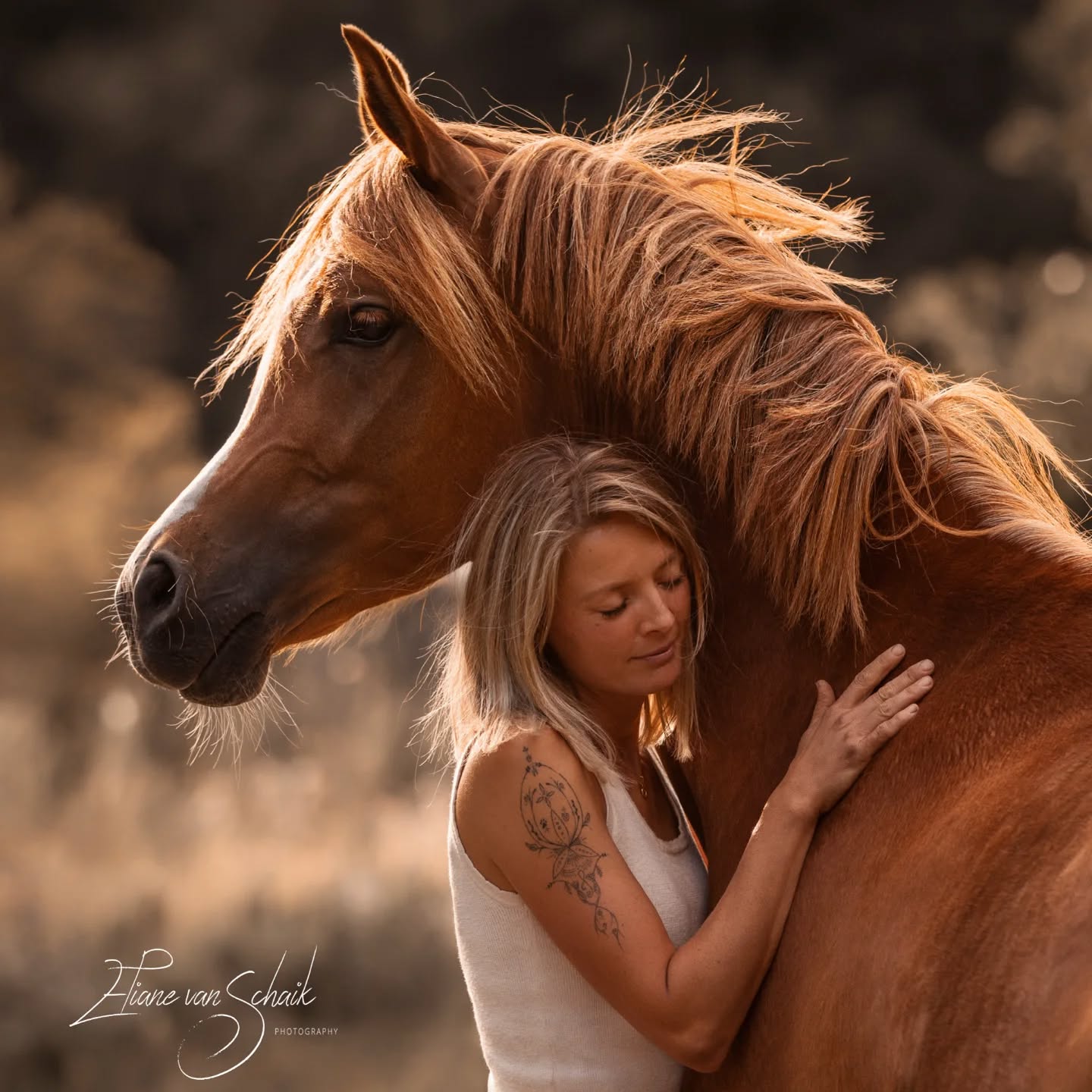 Een absoluut prachtige foto van deze mooie vrouw en haar paard, met haar genezen tatoeage!♥️♥️Wat een geweldig plaatje, dank je wel voor het delen van deze foto en dat ik hem ook mag delen🙏♥️Ik kijk nog steeds met veel liefde en plezier terug naar onze sessie, en ik ben blij dat je nog steeds geniet van je tatoeage♥️ Gezien je liefde voor paarden er ook in is verwerkt is deze foto dubbel zo perfect!Foto gemaakt door:
@elianevanschaikphotography#readingtattoo #spiritueletattoo #sacreddoodletattoo #selflovetattoo #stickandpokenl #handpoke #handdrawntattoo #healedtattoo #paard #loveanimals❤️ #love #linetattoo #symboltattoo