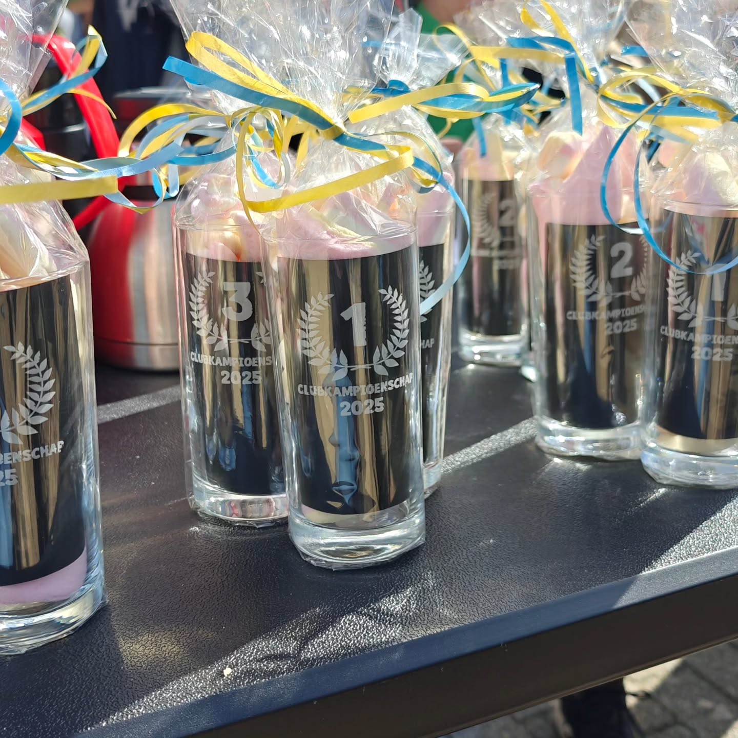 Prijsjes voor de clubkampioenschappen van de RBR.
Ze hebben het allemaal weer goed gedaan!
