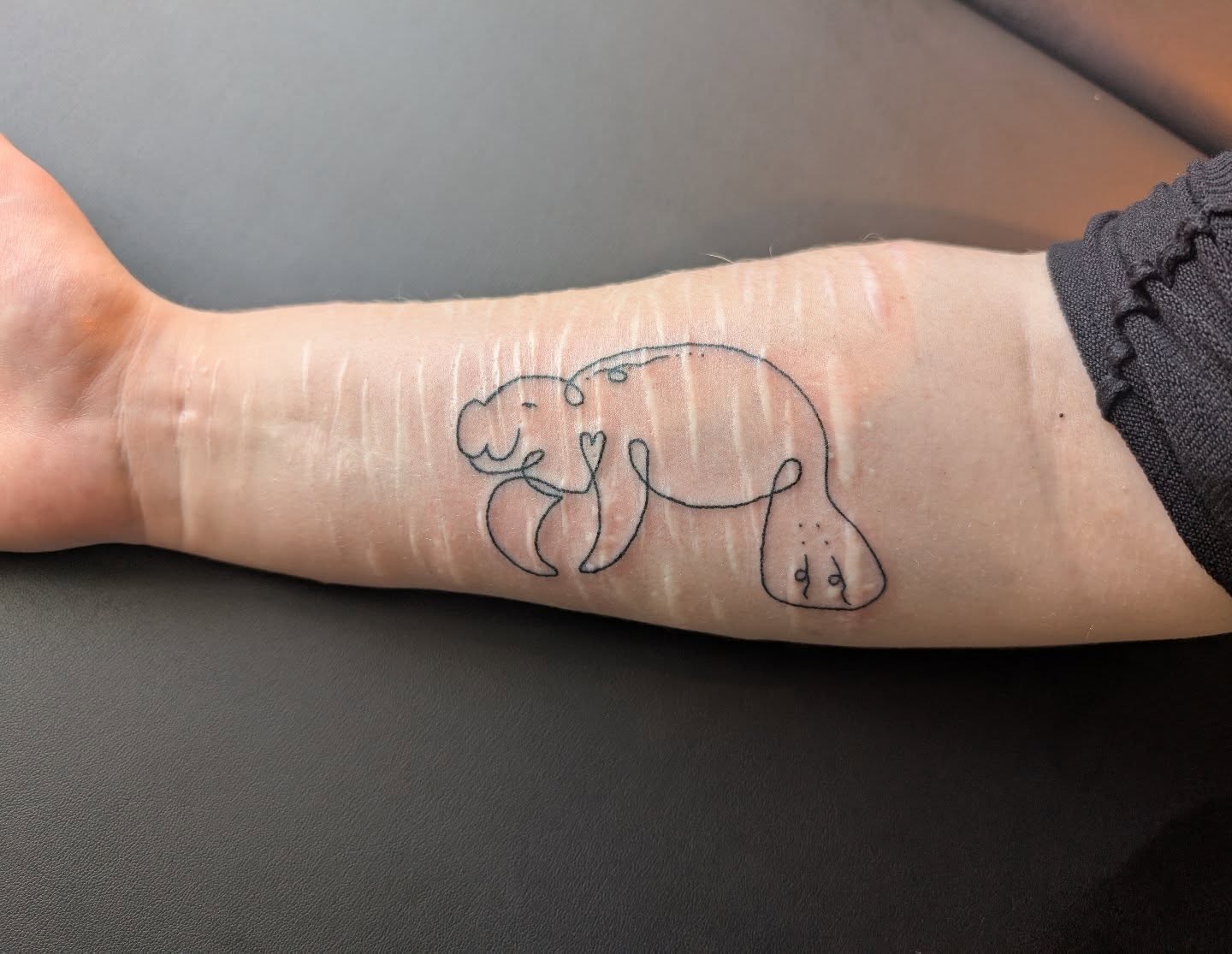 Gisteren deze schattige manatee tattoo mogen zetten bij een heel bijzondere vrouw🙏♥️De manatee gaf haar kracht en joy in een voor haar persoonlijk zware periode.
Nu lijkt het net alsof hij liefdevol en content in het water dobbert op haar arm!🫧Dit was voor mij de eerste tattoo over littekens heen en vond het een enorme eer om dit voor jou te mogen doen.♥️ Dank je wel voor je vertrouwen en de fijn gezellige sessies🙏Ik wens je veel kracht, liefde en plezier toe met je forever manatee!♥️#manatee #linetattoo #tattoosmeteenverhaal #sacreddoodletattoo #lovetattoo #scartattoo #joytattoo #selflovetattoo #selflove #stickandpokenl #handpoke #freehandtattoo #femaletattooartist
