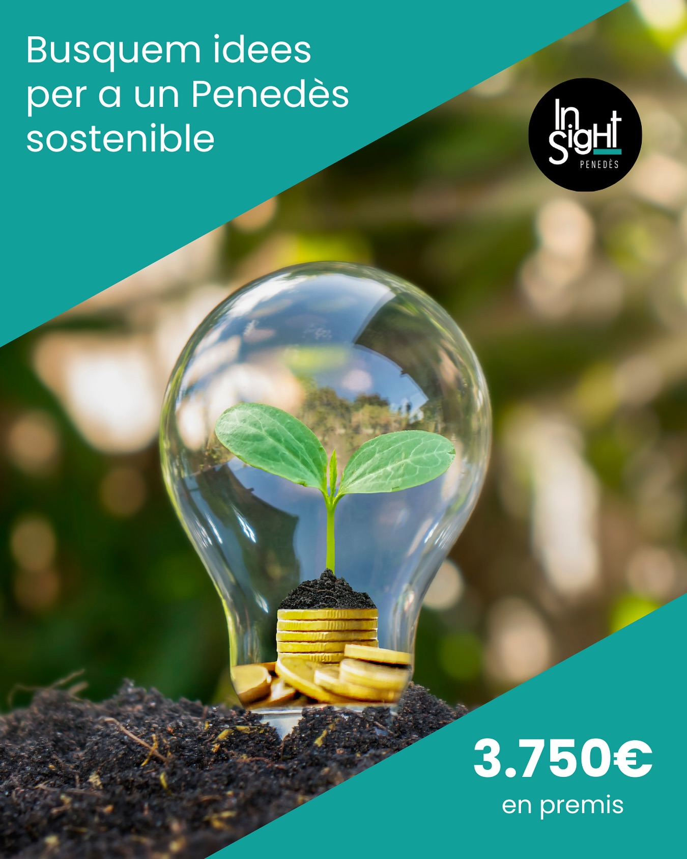 Es busquen idees verdes 💡🌱 Tens una idea que podria millorar la sostenibilitat a la teva ciutat o al…