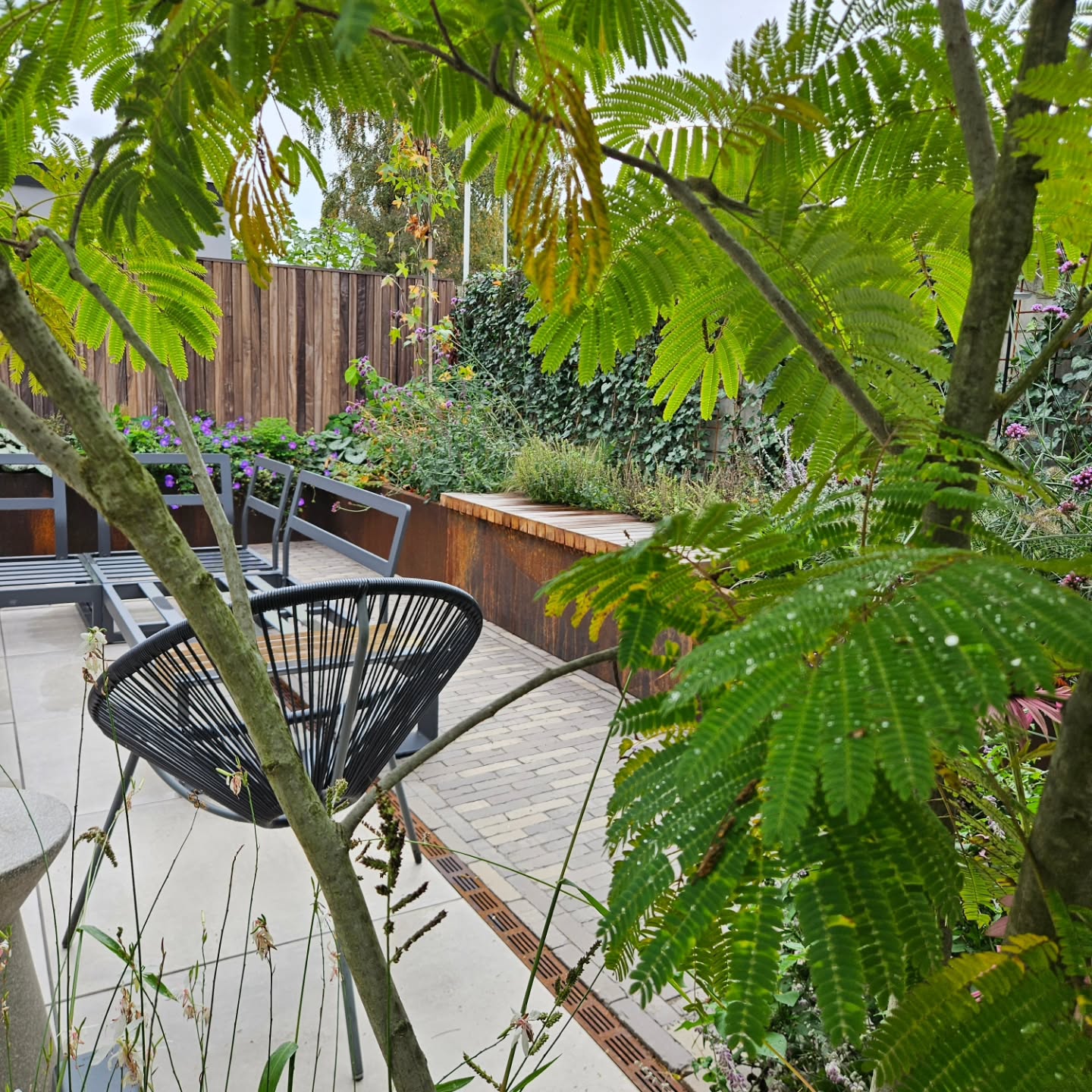 Altijd leuk om resultaat te zien! Zelfs nu in de herfst. Afgelopen zomer hebben we namelijk een betonnen binnenplein omgetoverd naar deze heerlijke stadstuin in het groen!