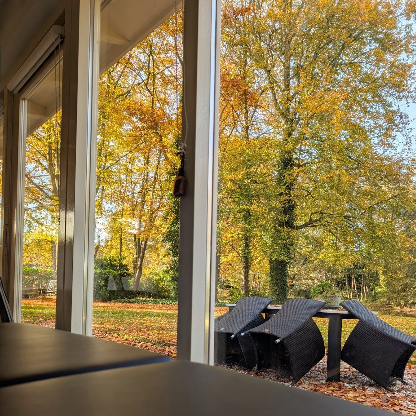 Perfect autumn view vanaf de tattoo tafel♥️🍂🍁🍄Een explosie van warme aarde tinten, naast nog wat groen en een prachtig blauwe lucht🙏♥️
Genoeg om lekker naar te kijken terwijl je relaxed een tattoo krijgt!#autumn #tattooshop #relaxedtattooing #sacreddoodletattoo #tattoolife #herfst #lovenature💚 #femaletattooartist #naturetattoos #nature #tattooexperience