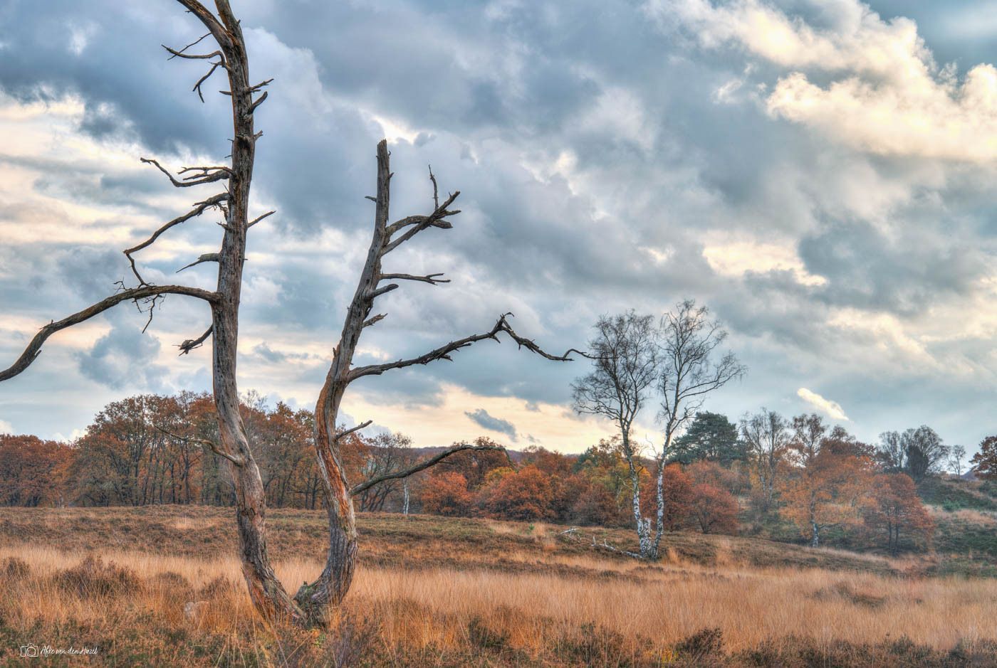 One of the last beautiful autumn days, windless and a...