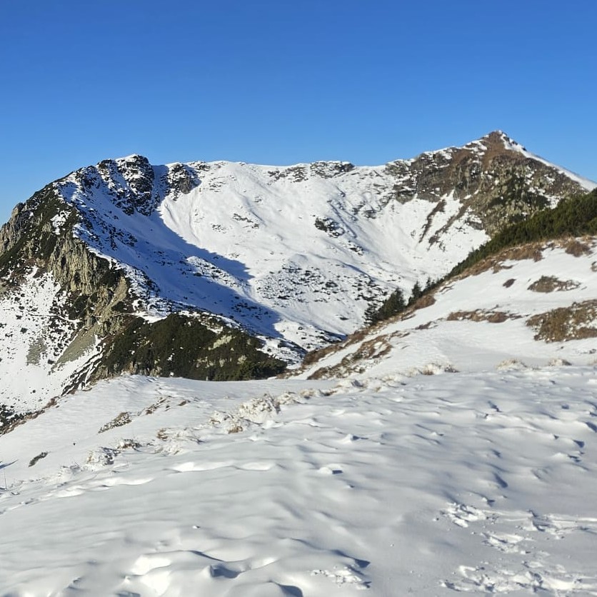 #Weihnachten im #Schnee bei traumhaften Pistenverhältnissen auf allen Pisten vom #Berg bis ins Tal.
#Skicircus #Saalbach #Hinterglemm #Leogang #Fieberbrunn
#einfachnurbärig.
Das Leben genießen in den #KitzbühelerAlpen
#GästehausElisabethFieberbrunn
#FerienwohnungSaalbachFieberbrunn
#PillerseeTal #Fieberbrunn #Tirol