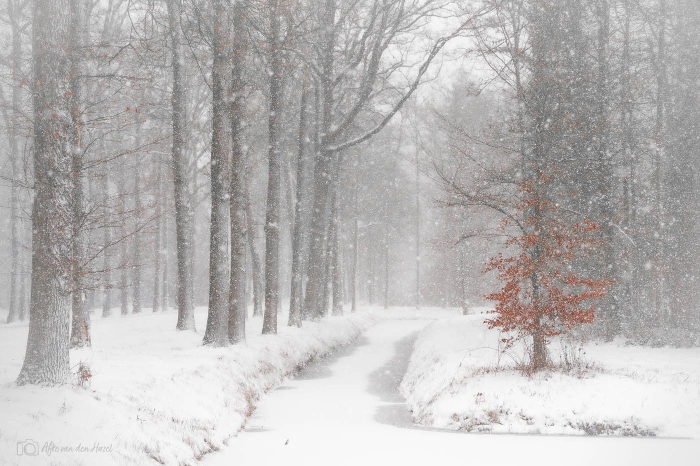Wonderful, finally some snow again. Mountain bike, warm clothes, helmet,...