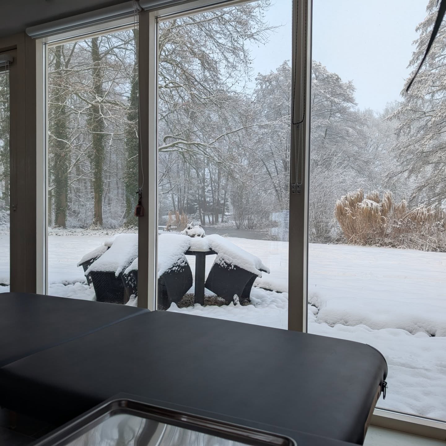 Voor het eerst een prachtig winterwonderland uitzicht vanuit mijn shop!♥️❄️Echt zo bijzonder mooi, kan hier zo van genieten!♥️#winter #sacreddoodletattoo #femaletattooartist #snowday #sneeuw #lovewinter #beautifulview❤️ #wittewereld #tattooshop #stickandpoketattooartist #nature