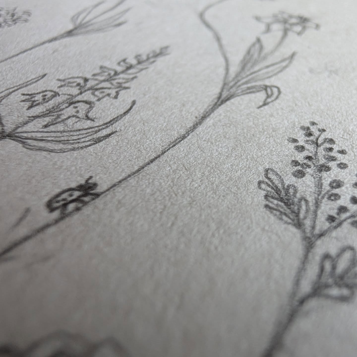Nature, nature, nature met al haar prachtige en diepgaande symbolieken en betekenissen in deze tattoo ontwerp sneak peaks♥️🙏🍃Voor 2 tatoeages een "boeket" aan krachtige intenties en mooie boodschappen voor hemzelf. Wat een heerlijke flow had ik met het ontwerpen van deze tattoos♥️ uit onze samenwerking en de creatieve vrijheid die je mij hebt gegeven zijn deze organische en vol verhalen tattoo ontwerpen ontstaan!🙏Tattoos met veel betekenis en een enorm sterke boodschap aan zelfliefde! Zo'n eer om onderdeel van te mogen zijn.🙏Kan niet wachten om ze bij je mogen te zetten!♥️#naturetattoo #sneakpeaktattoodesign #stickandpokenl #symbol #naturetattoos #handpoke #tattoosmeteenverhaal #tattoosneakpeak #selflovetattoo #femaletattooartist #handdrawnart #handdrawntattoo #flowertattoodesigns #spiritualtattoo