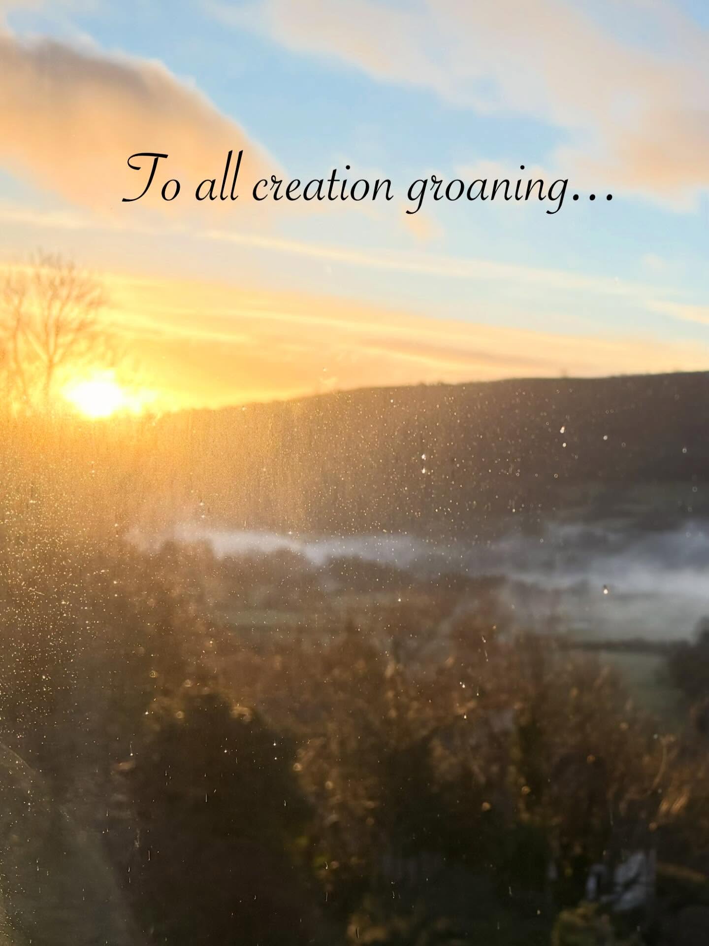 To all creation groaning... hold on... we're coming! (Romans 8:19-21)
#romans8 #allcreationgroaning #sonsofgod #unveiling