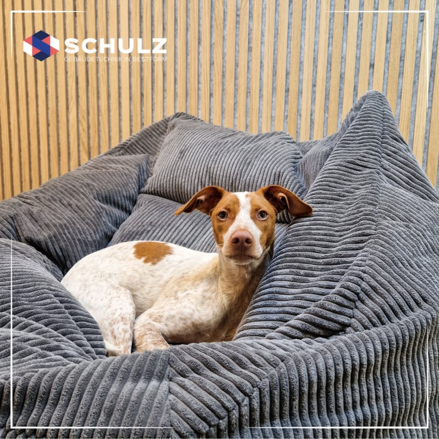 Willkommen in der Familie kleiner Freddy ❤️‐‐---------‐-------------------------------....