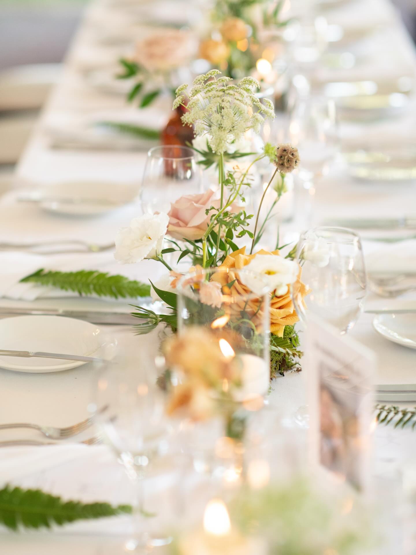 A love as intentional as it was unforgettable for Abbie & Adam✨
Planner: @plannedbysydney
Photographer: @brooklyndphotography
Florals: @nicheboutiqueflorals
Decor: @bespokedecor
Venue: @brockhouseevents
#Vancouverweddingplanner #vancouverweddinginspo #vancouverweddingvendor
