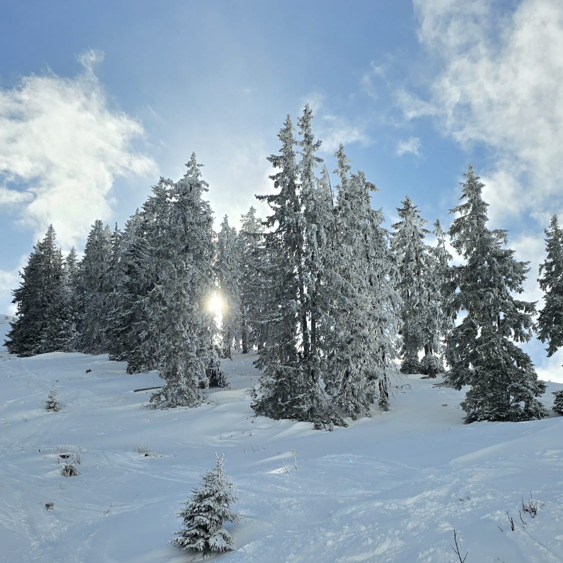 Fantastischer, traumhafter, winterlicher Faschingsausklang im
#Skicircus #Saalbach #Hinterglemm #Leogang #Fieberbrunn
#einfachnurbärig.
Das Leben genießen in den #KitzbühelerAlpen
#GästehausElisabethFieberbrunn
#FerienwohnungSaalbachFieberbrunn
#PillerseeTal #Fieberbrunn #Tirol
#daWerna