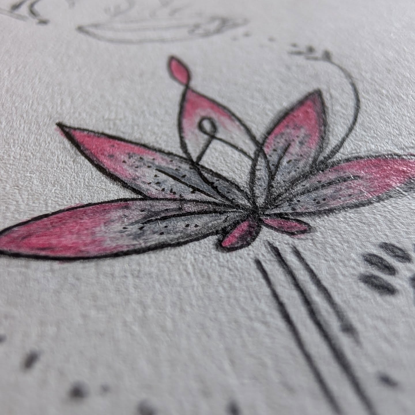Tattoo ontwerpen sneak peak kleur toevoegen♥️Gezien mijn hele proces analoog is, van potlood op papier tot stipje voor stipje op je lichaam, gebruik ik kleurpotlood om een idee te geven in het ontwerp hoe kleur naar voren komt.Al zal een tatoeage altijd anders overkomen op de huid dan een ontwerp op papier, geeft het toch een fijn beeld van hoe kleur in je tattoo ontwerp staat.Net als schaduw, geeft kleur een krachtige nieuwe dimensie en diepte aan een tattoo. Ik word er iedere keer weer enorm enthousiast van en merk dat ook terug in de reacties van mijn klanten!Zo blij dat kleur toegevoegd is aan mijn kennis en kunnen!♥️#tattoosneakpeak #kleurtattoo #analogtattoo #femaletattooartist #sacreddoodletattoo