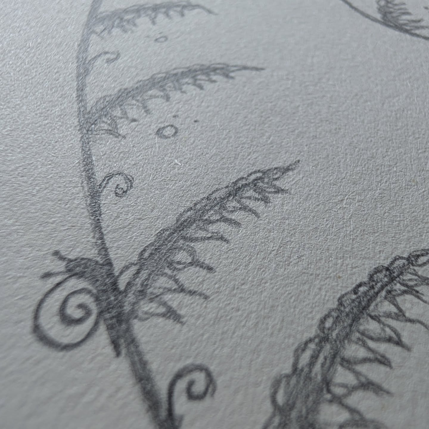 Tattoo schets ontwerp sneak peak♥️🙏Geïnspireerd op de verschillende natuurlijke elementen waarin de fibonacci reeks terugkomt!Wat een gave uitdaging om een tattoo in te mogen creëren, want die reeks komt in zoveel plekken in de natuur terug. Krachtig organisch en toch ook speels!🍃♥️Gotta love nature!♥️#naturetattoo #tattoosneakpeak #handdrawnart #fibonaccitattoo #organisch