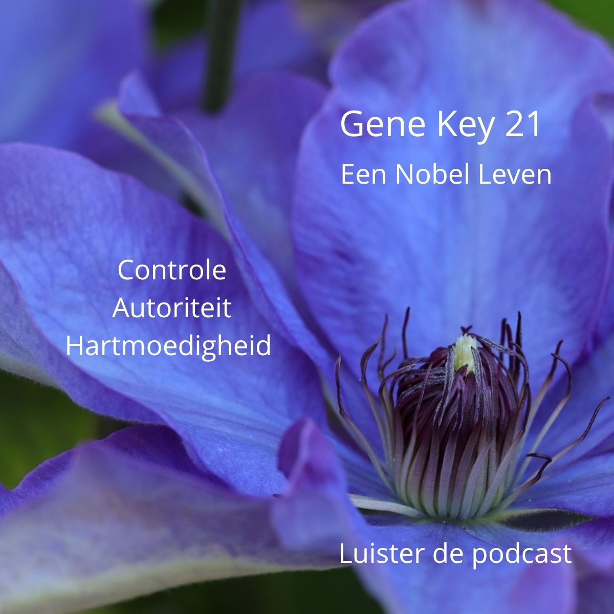 Gene Key 21 staat onder de zon ☀️ en onze podcastaflevering blijft actueel ✨In deze aflevering ga ik in gesprek met kunstenares @rebeccasolcerartSamen duiken we in Gene Key 21 een thema dat raakt aan controle, autoriteit en het hervinden van je eigen innerlijk leiderschap.We delen openhartig over momenten waarop we de neiging hadden om grip te houden… en juist werden uitgenodigd om los te laten.
Over verantwoordelijkheid nemen, ook als dat spannend is.Hartmoedigheid ontstaat wanneer je je hart opent op de momenten dat het schuurt of onzeker voelt.Een eerlijke aflevering om (opnieuw) te beluisterenZoek op spotify naar ViaLiefde podcast🔗 https://open.spotify.com/episode/5XTybTpwI2RzKrkfHWeDLK?si=ca795a645c3749c0(🎙 Opgenomen op 31 maart 2025)👉 Meer over Rebecca: RebeccaSolcerArt.nl