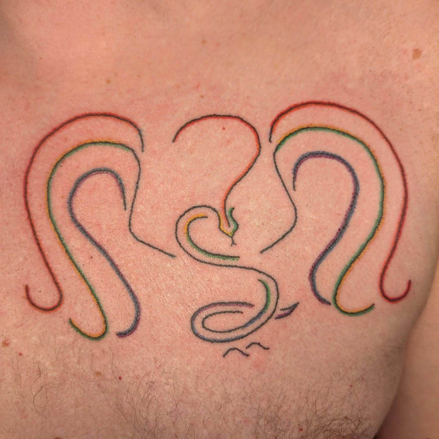 Een krachtige regenboog serpent🐍♥️Een door hemzelf getekende en bedachte entiteit die hij al jaren in zijn hoofd had zitten voor een tattoo. Hoe gaaf dat ik hem dan bij jou mocht zetten!🙏Je eerste tattoo op je borst, het deed misschien meer pijn dan verwacht maar je heb als een kampioen stil gelegen!💪♥️Dank je wel voor je vertrouwen en de erg gezellige sessie!♥️#kleurtattoo #linetattoo #chesttattoo #sacreddoodletattoo #freehandtattoo