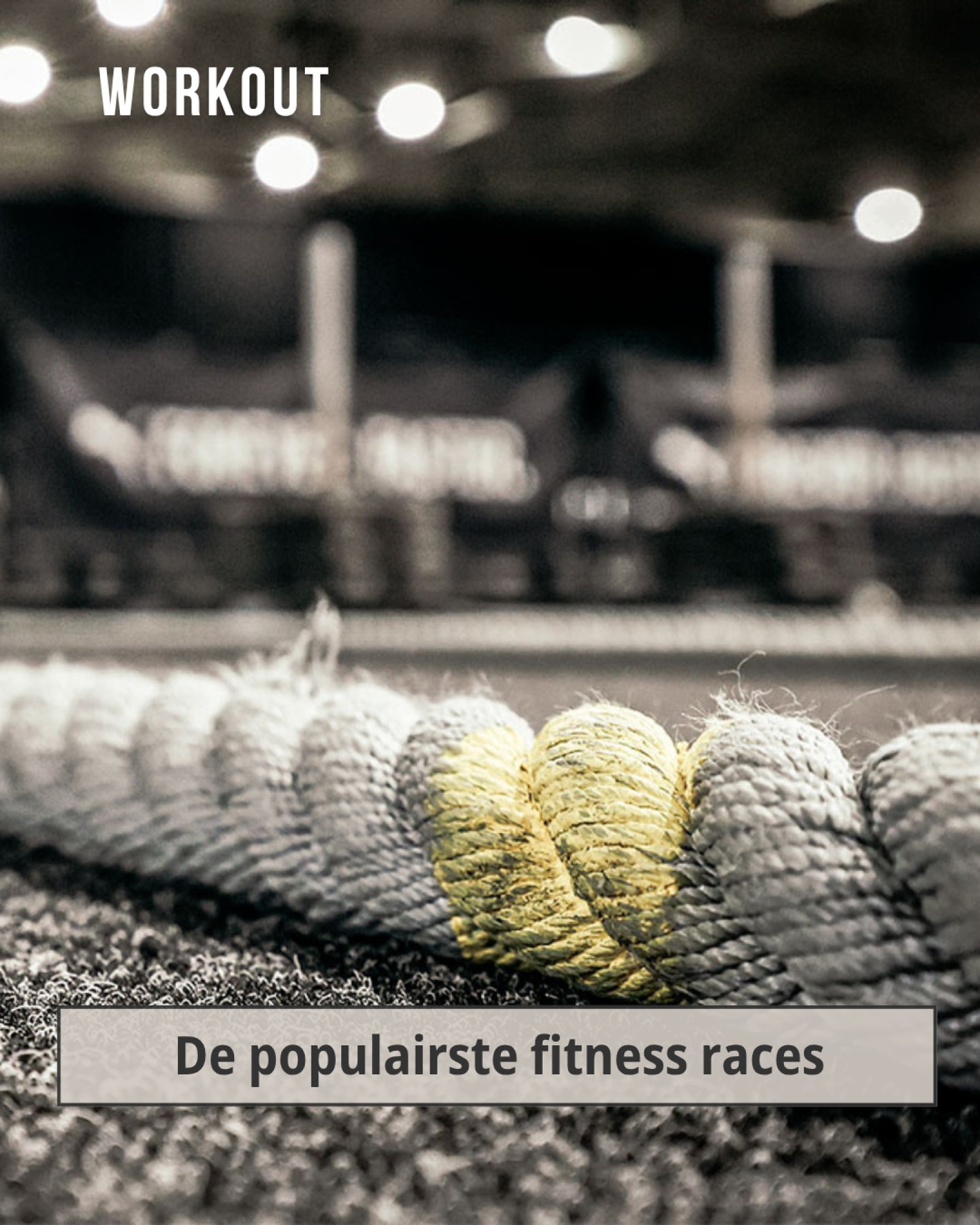 Vandaag gaat het startschot bi… Vandaag gaat het startschot bi…