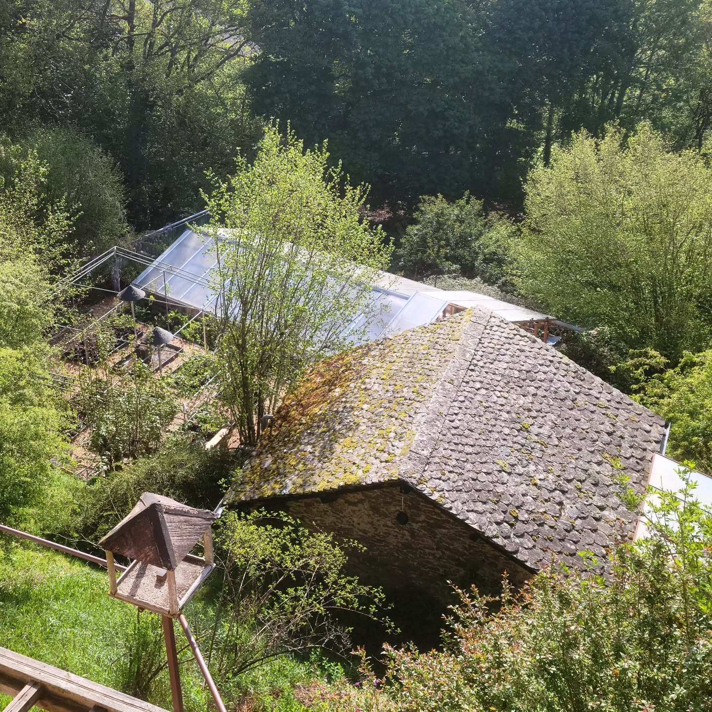 La pépinière est ouverte aujourd'hui jusqu'à 18h, sous un beau soleil qui nous accompagnera toute la journée 🌞
Quelques nouveautés à découvrir, les plants potagers seront disponibles à partir de samedi prochain.
Bonne journée à tous les jardiniers 🌱