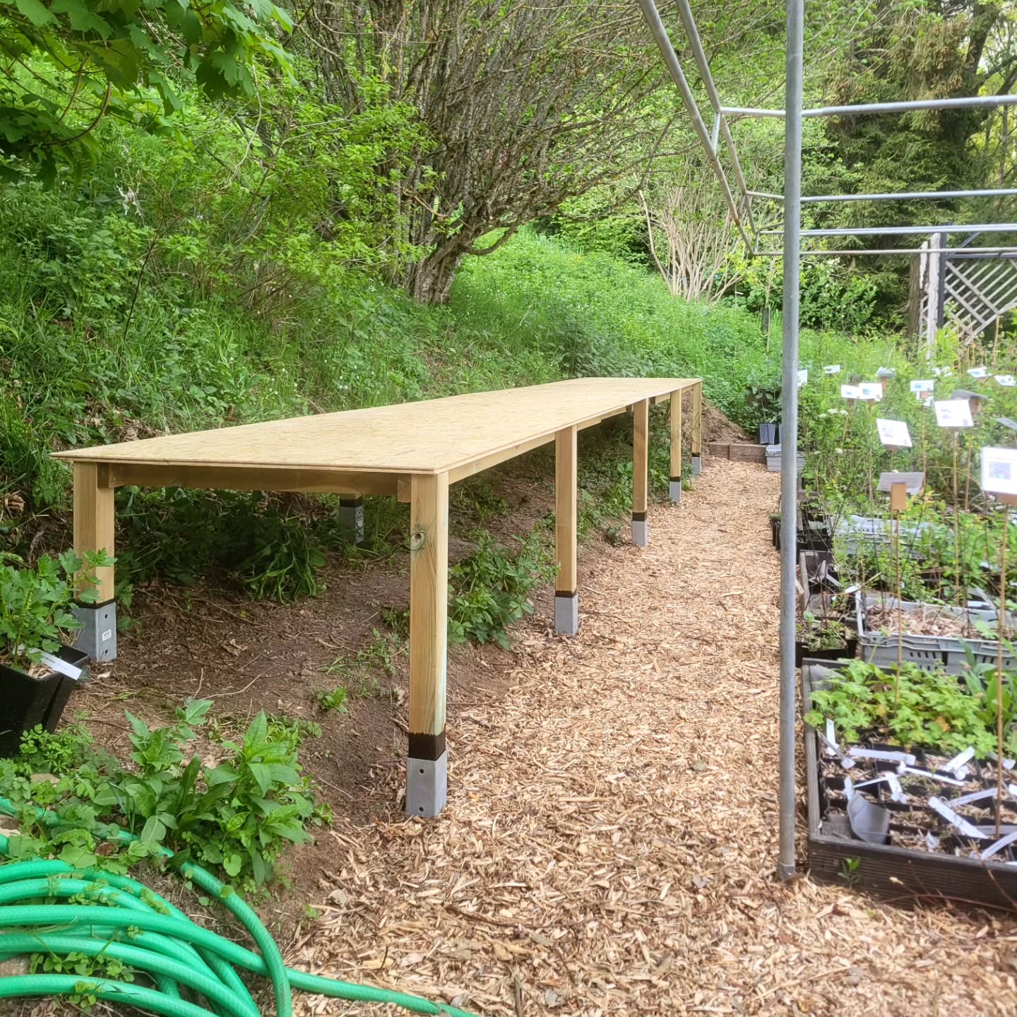 Nouvelle zone de présentation à la pépinière ✨️🌱
Avec cette table de 6,4m x 1m, on continue d'optimiser la zone de vente / stockage de la pépinière.
Elle accueillera probablement les aromatiques et les légumes vivaces 🧅🥦