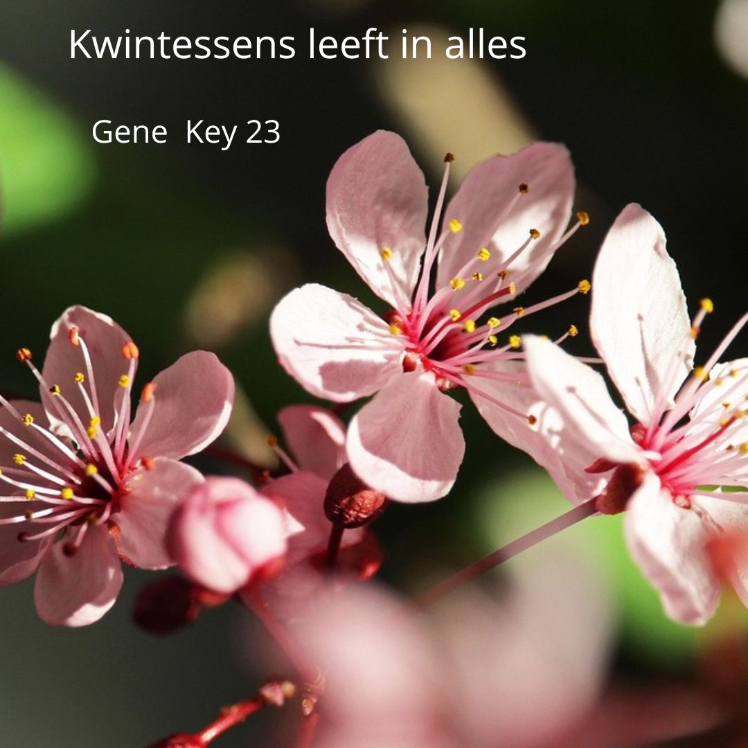 Kwintessens is
volgens mij overal.In mijn beleving
bestaat er geen plek
waar zij niet aanwezig is.Voor mij lijkt alles bezield
dat is hoe ik het leven ervaar.Levenskracht
Essentie
Bewustzijn
Dat wat door alles heen beweegt.Sommigen noemen
het God,
anderen Licht
of het groot Mysterie.Voor mij is het
de wezenlijke stroom
van Levenonzichtbaar
altijd onderweg
en altijd aanwezig.De kwintessens van het leven.
Overal.
En misschien zelfs nergens níet.