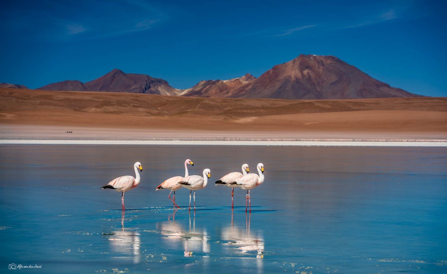 Salar de Uyuni, the world’s largest salt flat, is a...
