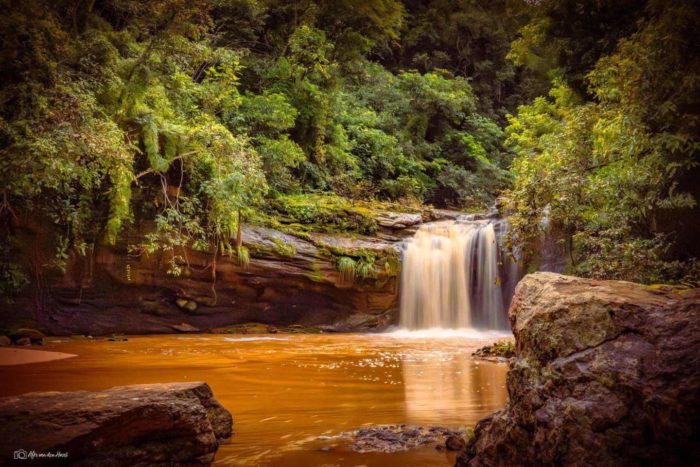 A beautiful idyllic spot in the jungle#jungle #junglephotography #junglevibes...