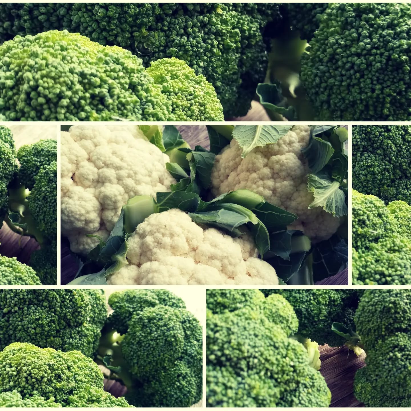 #blumenkohl 🥦 #broccoli 🥦 Wofür soll ich mich nur entscheiden?!? 🤯 Wir sagen: für all....
