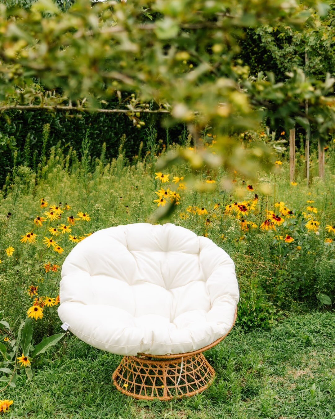 Concept55, Ook voor foto- & video-opnames 📸🎥
Deze keer trokken we de tuin in. Een mooie setting, natuurlijk licht en een draaifauteuil die meteen voor de juiste vibe zorgt. 💚
Want Concept55 is er niet alleen voor meetings en events. Ook voor content shoots, brandingfoto’s en video-opnames ben je hier welkom.
Tuin: @tuinmakers @groteboom.be
Foto’s: @studiocreav
#concept55 #vergaderruimte #keerbergen #vergaderzaal #fotostudio