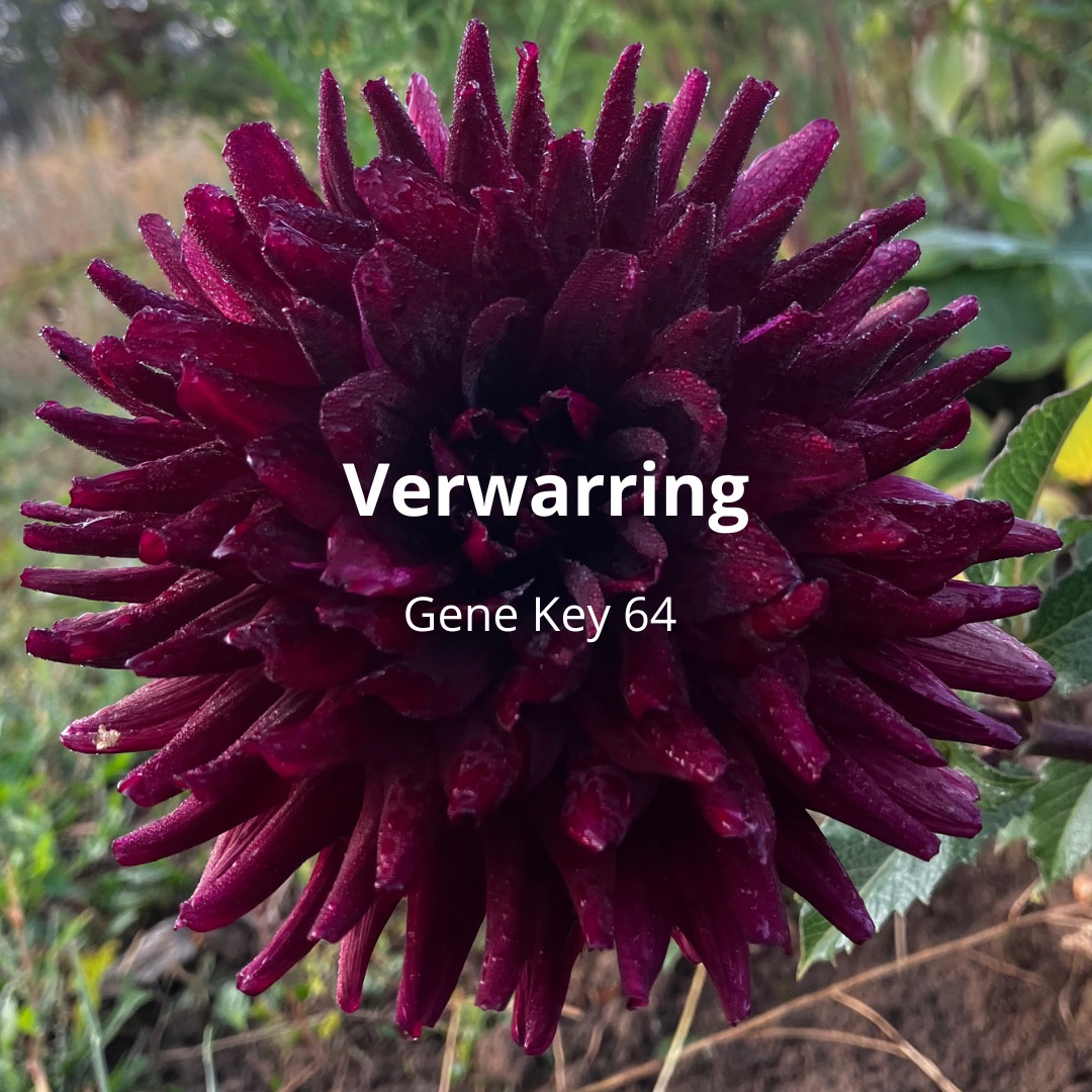 Whaaaah… 😤Soms is het gewoon nog even niet helder.En dat kan best frustrerend zijn.
Het even niet meer weten.
Niet weten hoe, wat… of wat je volgende stap is. 🤷♀️In Gene Key 64 wordt dit Verwarring genoemd.Deze dagen staat deze Gene Key in het licht van de zon. ☀️Dat betekent dat het thema van verwarring wat krachtiger aanwezig is, in onszelf én in het collectieve veld.Maar… wat als verwarring betekent dat er niets mis is?Daar schreef ik een blog over.Over wat verwarring nog meer kan zijn dan alleen… verwarring ✨Je leest de hele blog via de link in mijn bio🧡