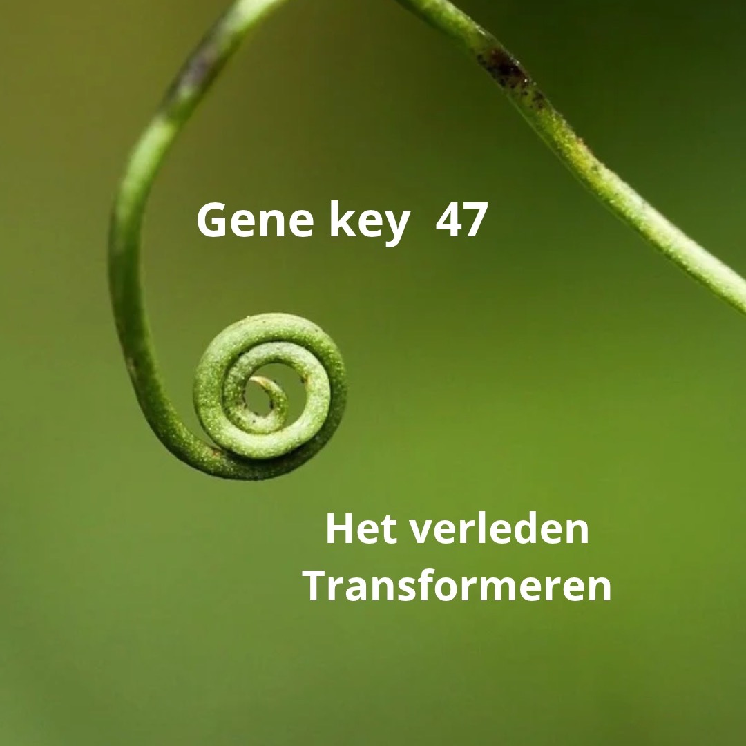 Het proces van transformatie is door de alchemisten eigenlijk heel mooi beschreven.Het bestaat uit een eindeloze reeks kleine veranderingen. Vaak zijn die veranderingen zo subtiel dat je ze op het moment zelf nauwelijks kunt herkennen.Al die kleine veranderingen leiden uiteindelijk tot een aantal grote keerpunten in je leven.Transmuteren betekent dat je een grote sprong maakt naar een heel nieuwe dimensie van je leven."Richard Rudd"